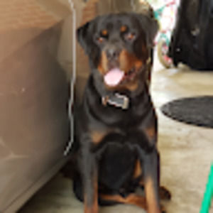 Meet your Posher, Ceddrick